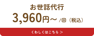 お世話代行3,960円(税込)